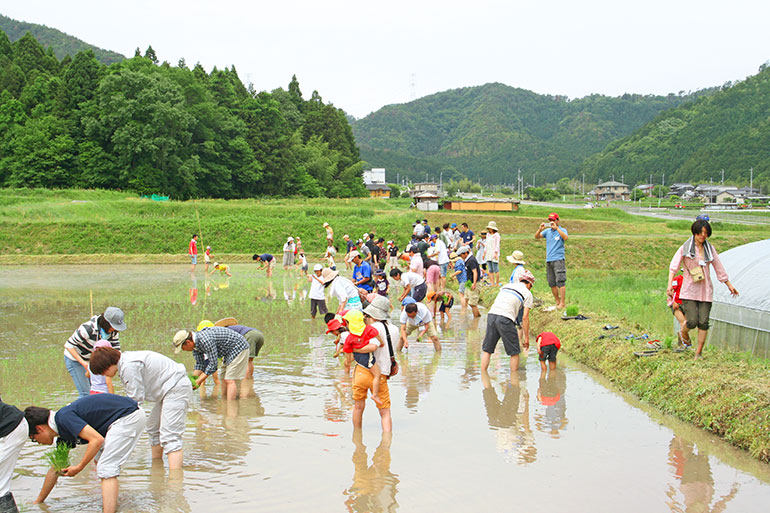 コミュニティ活動-田植え-グッドホーム岐阜