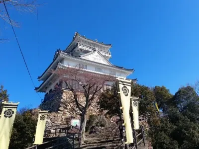画像